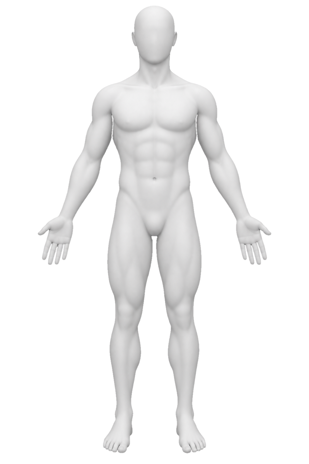 관절센터 사람 모양 이미지(정면)